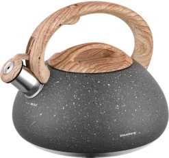 Klausberg KB-7250 Fluitketel - 2,7L - Rvs - Alle Warmtebronnen