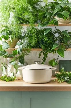 Tefal LOV Braadpan - 5L - Ø25 Cm - Beige 24 Tefal LOV Braadpan - 5L - Ø25 Cm - Beige -Aanbiedingen Tefal Winkel 800x1200 20